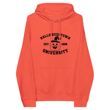 Load image into Gallery viewer, Halloween University eco raglan hoodie