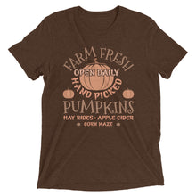 Load image into Gallery viewer, Fresh Farm Pumpkin’s Short sleeve t-shirt