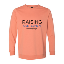 Load image into Gallery viewer, Raising Gentlemen Terry Crewneck Pullover