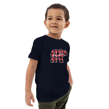 Load image into Gallery viewer, Brother Bear Organic cotton kids Matching Holiday tee