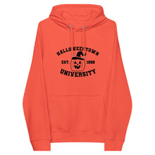 Load image into Gallery viewer, Halloween University eco raglan hoodie
