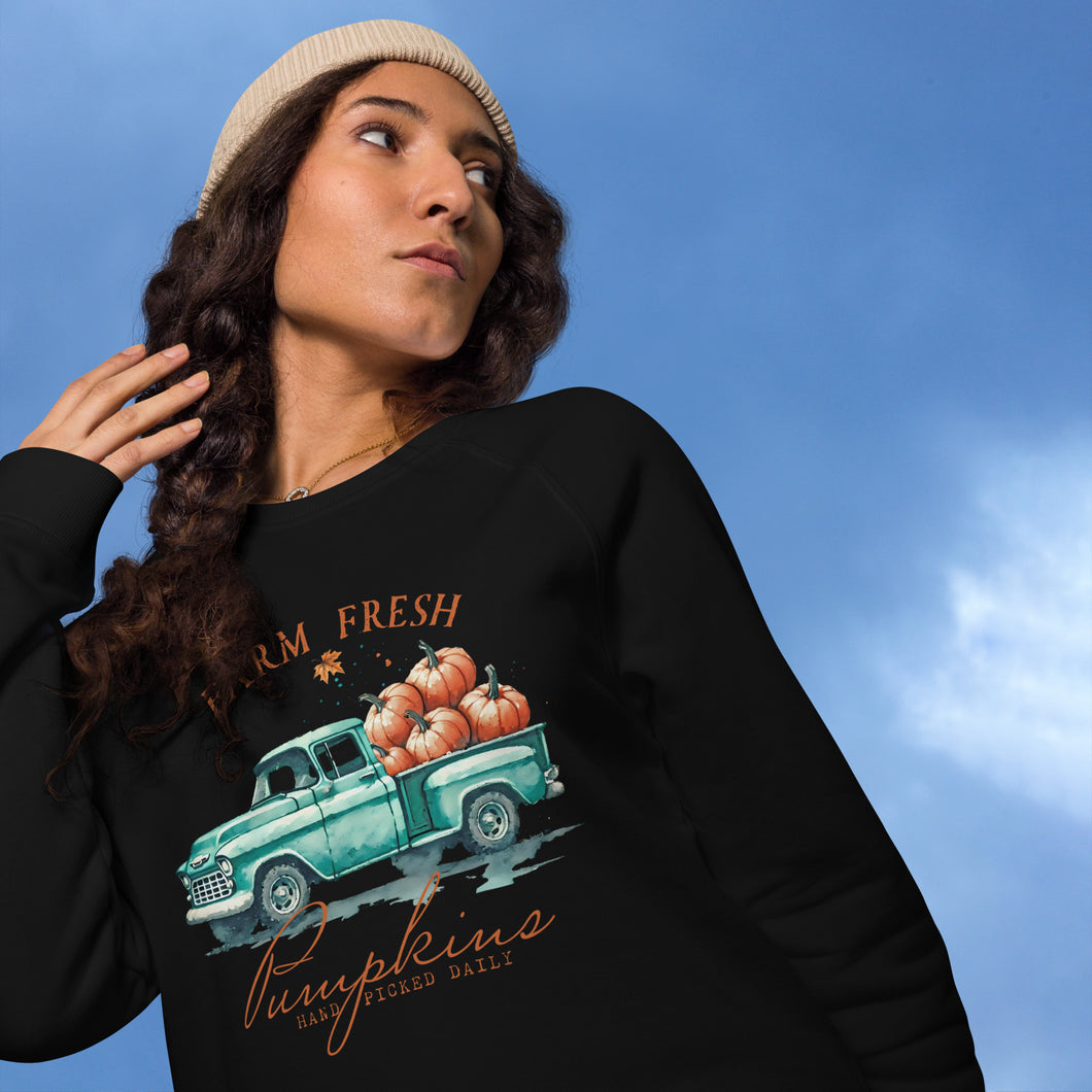 Classic Truck Holiday Organic raglan sweatshirt