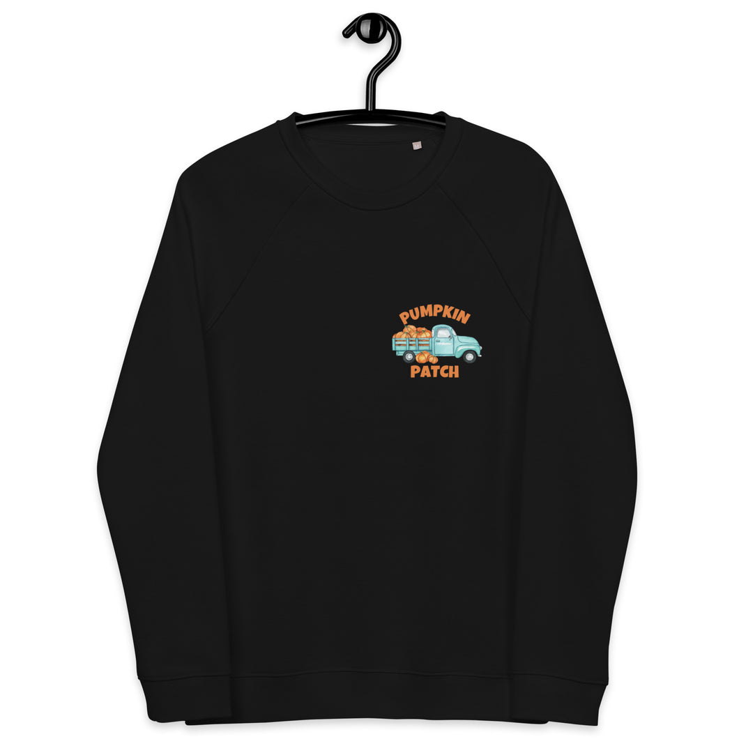 Pumpkin Patch organic raglan sweatshirt