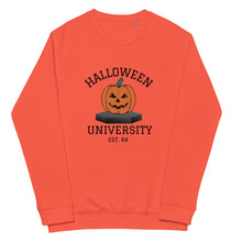 Load image into Gallery viewer, Halloween University organic raglan sweatshirt
